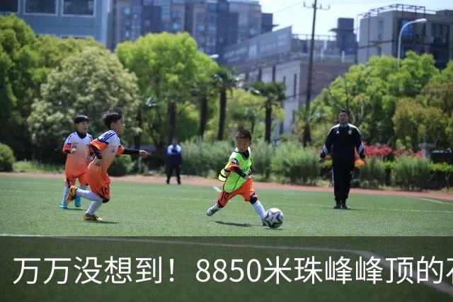 万万没想到！8850米珠峰峰顶的石头，竟来自4亿年前的海底！